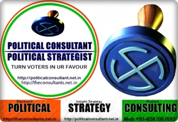 Political Consulting @ The Consultant